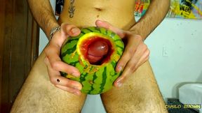 fucking a watermelon until i cum inside it - camilo brown