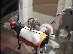 Nurse takes his pressure while showing off her tits