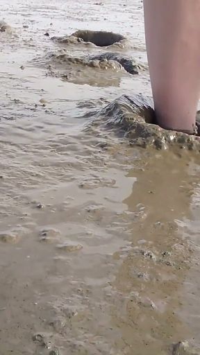 In Fine Stockings in the Wadden Sea of Wangerland