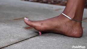 Phoenix Bye Bye Little Man