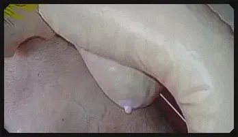 Close-Up Inflatable Doll Mouth Play Solo Action