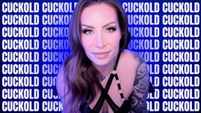 Cuckold 6 Video Compilation