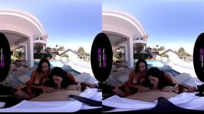 VirtualRealTrans Caught red handed