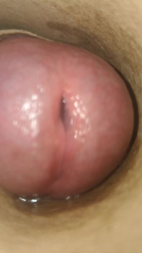 POV: Cummin' Inside of You