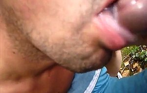Cruising Foursome