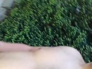 Dans le jardin au soleil