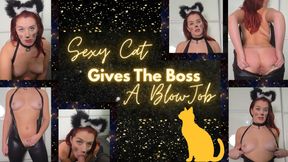 Sexy cat gives BOSS a BJ