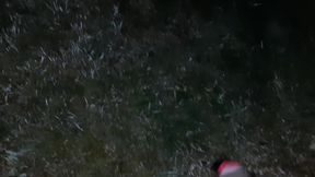 I Gave Her Roller Skates, And She Thanked Me With Cunnilingus