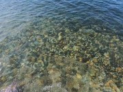 Milf con bañador sexy me da una pajita en la playa