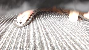 My most worn out flip flops