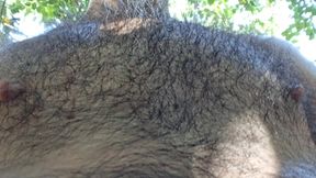 Hairy balls