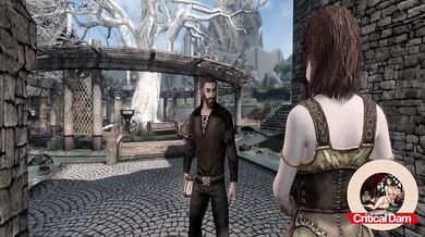 Lydia gets railed raw by a hairy Argonian in Whiterun