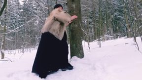 In the Winter Forest