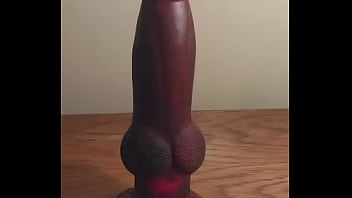 New Remote Controlled Toy