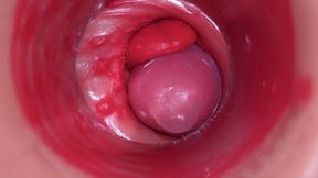 Inside a Camgirl Cervix POV Camera in Vagina with Big Dick Toy