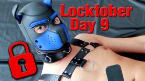 Locktober Day 9 - Horny Puppy in Chastity Self Spanking and Nipple Play