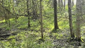 Woman runs naked through the forest and masturbates