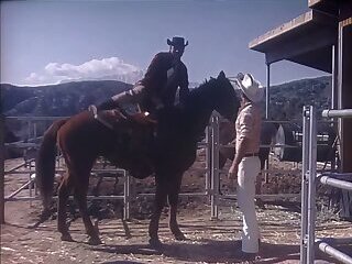 the Bonanza-Colt