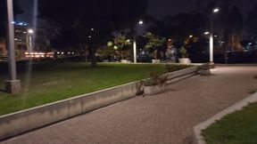 Follada en la calle