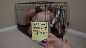 Bdsm Puppy Slave Fails To Cum Into Cup For Mistress - Hands Free Vibrator