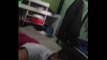 Mosquito Safado Enfiando A Lingui&ccedil_a No Elefante Guloso