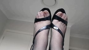 Dani Leg in Sexy Black Fishnet