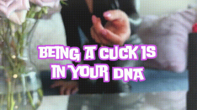 Being a Cuck is in your DNA- SPH Humiliation Foot Worship