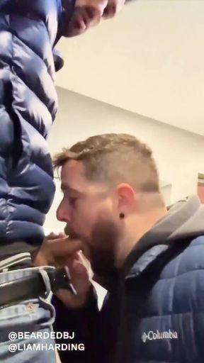 hot daddy with big cock gets sucked in public bathroom by sexy bear   Clip 1
