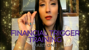 FINANCIAL TRIGGER TRAINING PART ONE