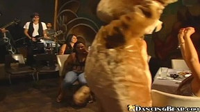 Dancing Bear Strip Show