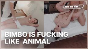 Brunette Bimbo Rides Cock Like a Fucking Slut