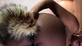 This Is My Tail