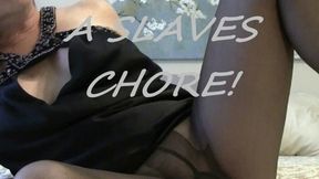 A SLAVES PANTYHOSE CHORE mp4
