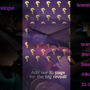 Brandynettes Investigation of Purple Envelope