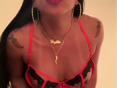 Solo webcam tranny masturbation