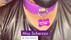 Miss Scherzzo and Her bitch