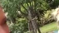 Hot Video @Licking Balls and #Outdoor #Threesome #Orgy with @Veronica Da Souza by @Private Like & Share!