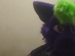 Big fat furry plays with massive belly
