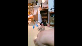 Amateur Ladyboy Gives Blowjob: He`s Not Suffering Much!