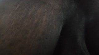 Girl Next Door - Destroying Male Ass all the way in , Balls Kicking &amp; hard hand job until Cum