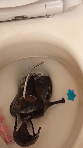 Sexy Pointy High Heels Peed on and Flushed Down the Toilet