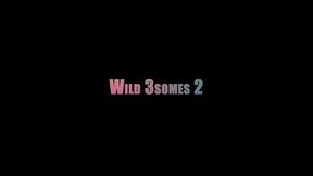 wild 3somes 2 (4 scenes)