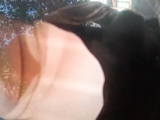 I bang my ally's wife each time her cuckold spouse leaves the abode; the whore always orgasms when I eat her butt.