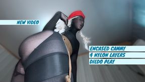 Street Fighter Cammy encasement