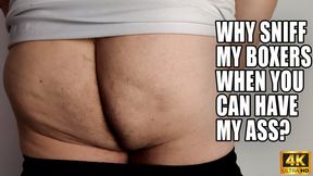 Why Sniff My Boxers When You Can Have My Ass - 4k UHD 2160p - MOV - KingMarti