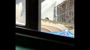 Espiando a mi vecina Culona. Est&aacute_ buen&iacute_sima, ahora no sali&oacute_ en tanga