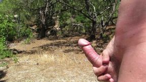 Nude Wank in the Woods and Fields 2