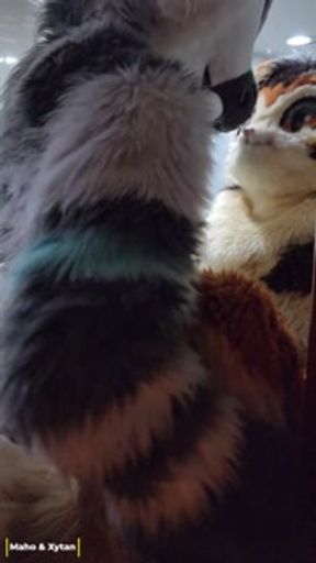 This Big Kitty Fucks His Wife Before Shower - Maho &amp; Xytan