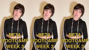 BETA BOOTCAMP WEEK 3
