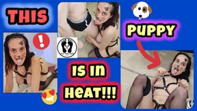 TRAINING GASPING PLAY IN HEAT DOMINATION SOLO BG